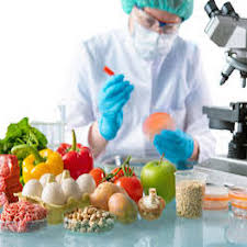 15__Food_science.jpg