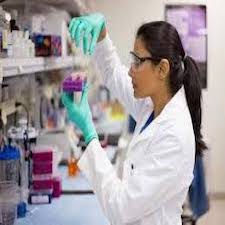 13_b__Biomed_.jpg
