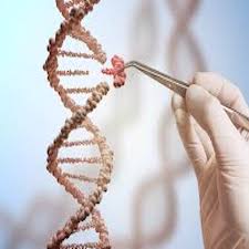 13_h__genetic.jpg