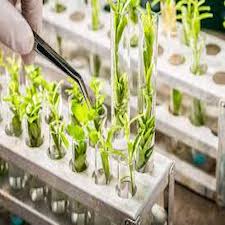 15_b__Agri_Biotech.jpg
