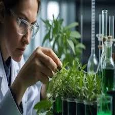 18_b__Botany.jpg